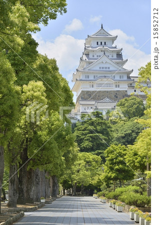 姫路城(喜斉門跡側より) 姫路城(喜斉門跡側より) 15852712