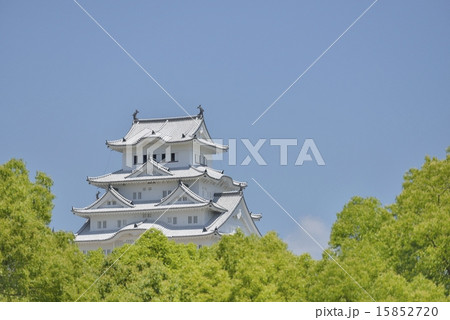新緑の姫路城（城見台公園より） 15852720