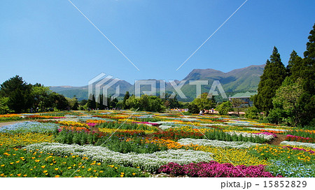 くじゅう花公園 15852829