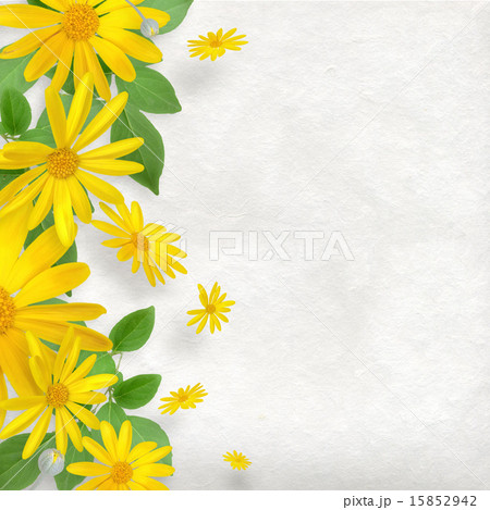 黄色い花のフレーム 黄色い花のフレーム 15852942