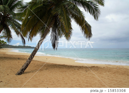 Caribbean beach in bad weather 15853308