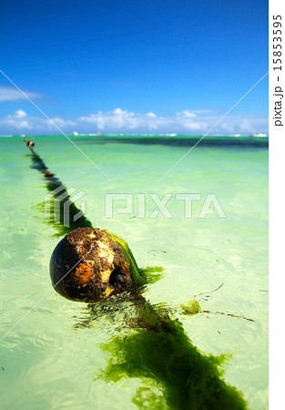 Buoy on caribbean sea Buoy on caribbean sea 15853595