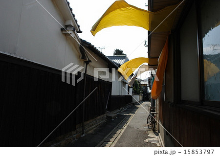 アートの島直島 路地 アートの島直島 路地 15853797