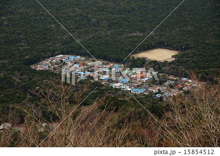 樹海 富士 村 の