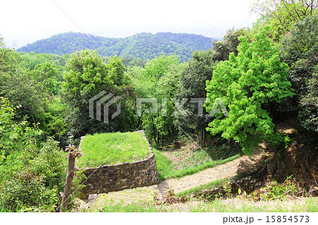 金山城跡 金山城跡 15854573