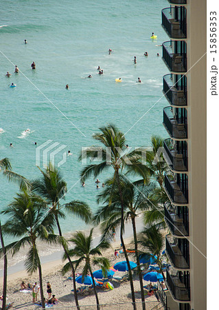 sea_19 sea_19 15856353