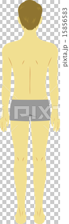 Beauty Men Body Swimwear Rear View Beauty Men Body Swimwear Rear View 15856583