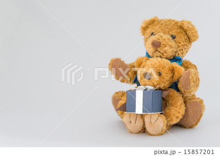 プレゼントを持ったクマのぬいぐるみ 15857201