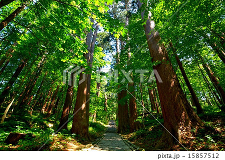 出羽神社 (15) 出羽神社 (15) 15857512