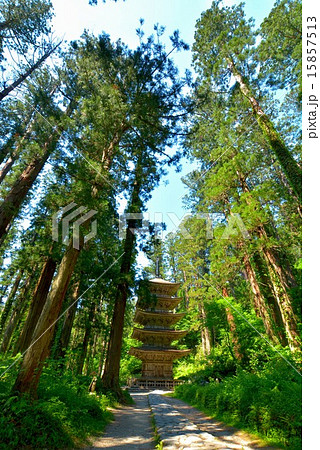 羽黒山五重の塔 (4) 羽黒山五重の塔 (4) 15857513