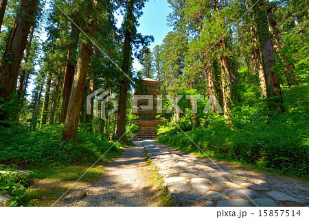 羽黒山五重の塔 (5) 15857514