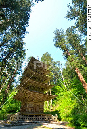 羽黒山五重の塔 (10) 羽黒山五重の塔 (10) 15857519