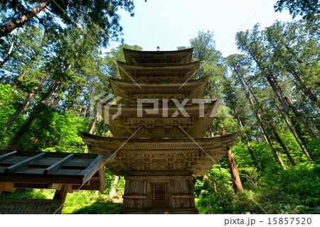 羽黒山五重の塔 (11) 羽黒山五重の塔 (11) 15857520