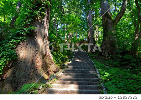 出羽神社 (16) 15857525