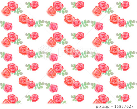 バラ薔薇ジューンブライドウエディングプレゼントギフトフラワーアレンジメント植物可愛いかわいい緑 バラ薔薇ジューンブライドウエディングプレゼントギフトフラワーアレンジメント植物可愛いかわいい緑 15857627