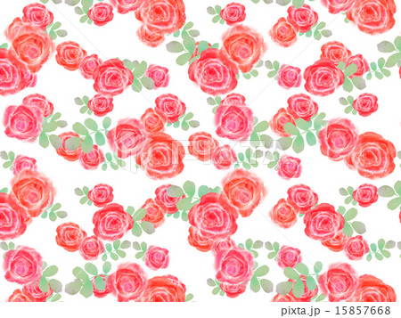 バラ薔薇ジューンブライドウエディングプレゼントギフトフラワーアレンジメント植物可愛いかわいい緑のイラスト素材