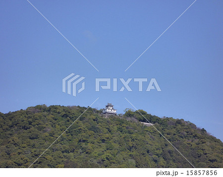 錦帯橋から見た岩国城 15857856