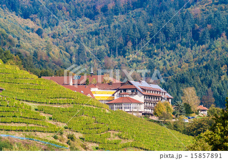Houses in The Black Forest mountains 15857891
