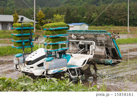 田植え 15858161