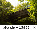 陸橋 15858444