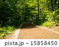 軽井沢 15858450