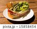 BLT 15858454