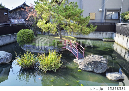 菅原天満宮 誕生池 15858581