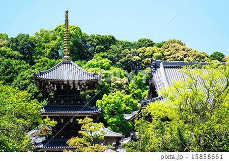 新緑の水間観音寺 新緑の水間観音寺 15858661