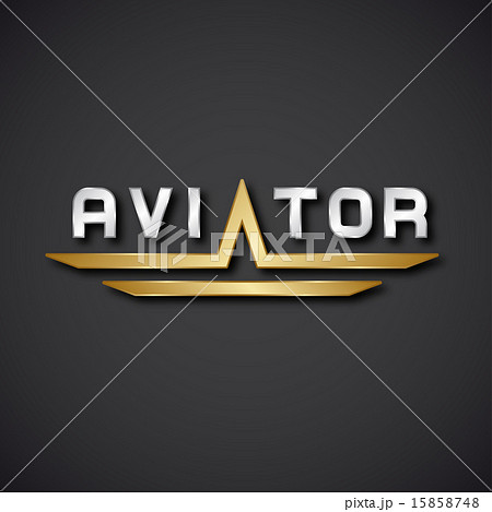 EPS10  aircraft aviator inscription icon 15858748