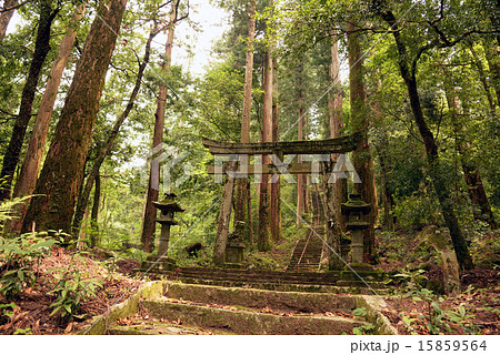瀧神社　美濃市　岐阜県 15859564