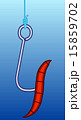 Fishhook 15859702