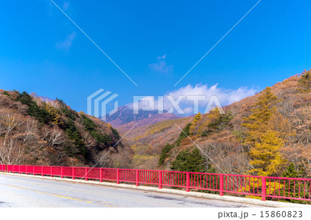 東沢大橋　(紅葉　清里高原　11月) 15860823