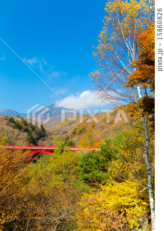 東沢大橋 紅葉 清里高原 11月 の写真素材