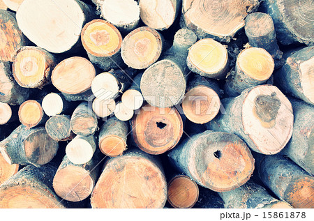 たくさんの丸太 たくさんの丸太 15861878