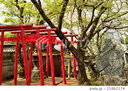 平田稲荷神社の山布留 15862174