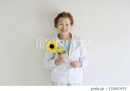 白い部屋でひまわりの花を持っている元気な高齢者女性 白い部屋でひまわりの花を持っている元気な高齢者女性 15862455