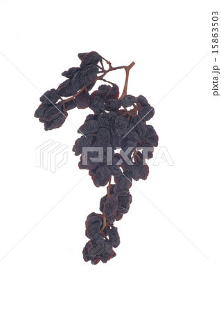 干し葡萄、レーズン 干し葡萄、レーズン 15863503