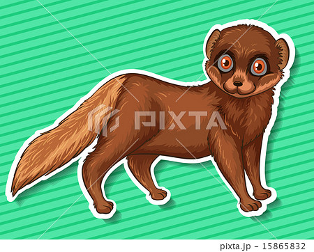 Cute Mynx 15865832