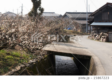 山の辺の道 山の辺の道 15867223