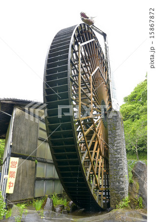 藺牟田池の水車 藺牟田池の水車 15867872