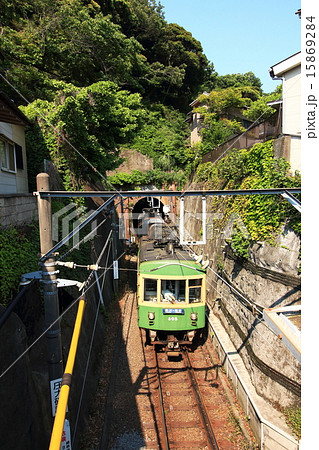 極楽洞を抜ける江ノ電 15869284