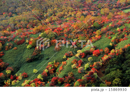 那須の紅葉 15869930