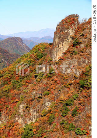 晩秋の西上州・鹿岳の紅葉 15870670