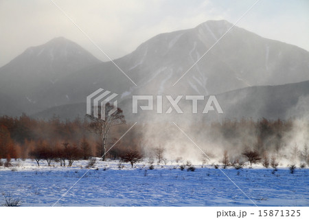地吹雪の奥日光・小田代原 15871325