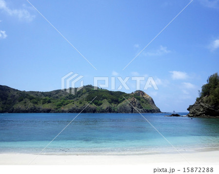 コペペ海岸(父島) コペペ海岸(父島) 15872288