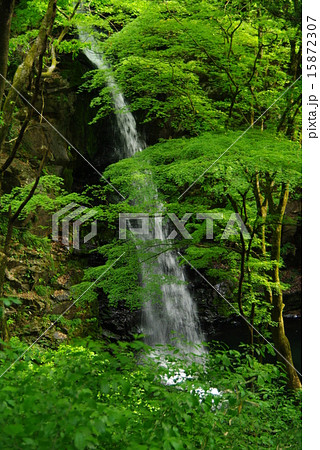 群馬県 柱戸不動滝 群馬県 柱戸不動滝 15872307