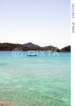 大村海岸の風景(父島) 大村海岸の風景(父島) 15872384