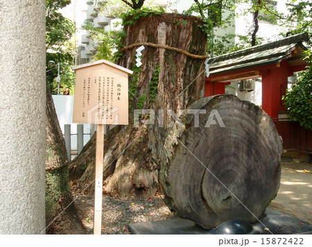 生田神社 生田神社 15872422