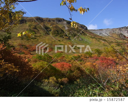 東大雪沼めぐり　高根ヶ原の紅葉 15872587