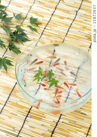 金魚 15872637